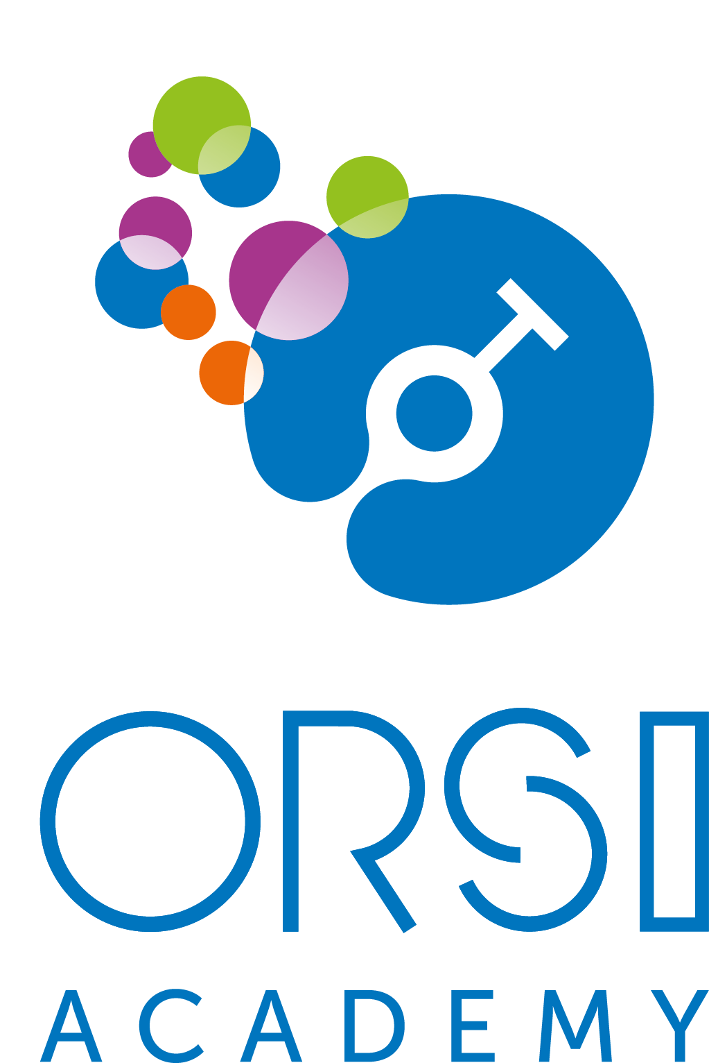 ORSI Academy